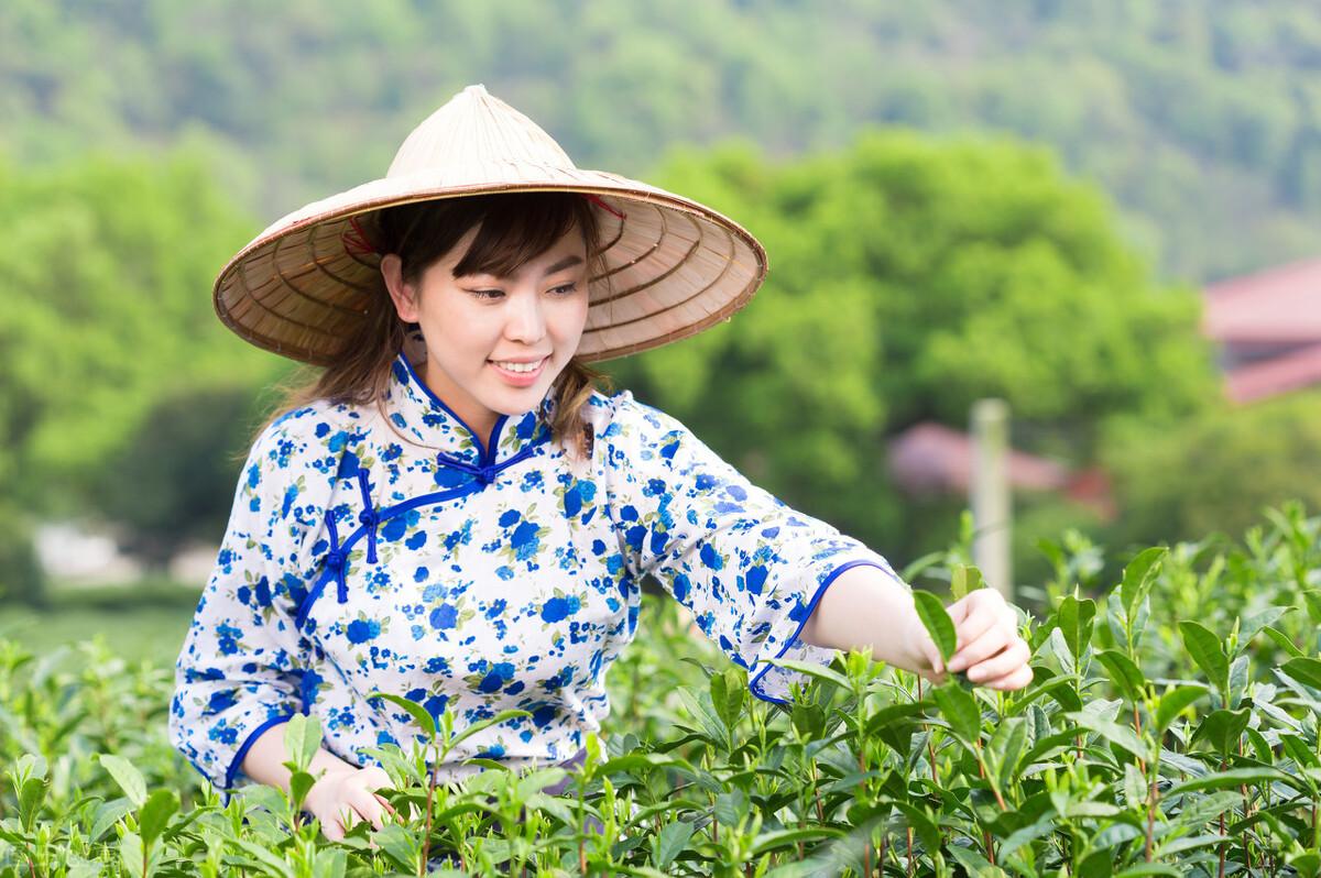 茗茶是什么意高德娱乐义（茗与茶两者有什么区别）(图2)