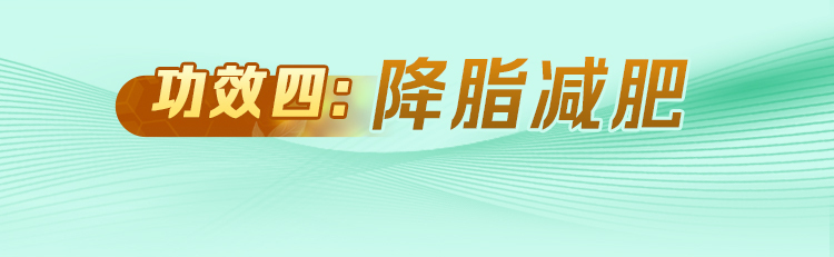 刘仲华院士点赞梧州六堡茶 八大成果助享健壮生涯高德娱乐(图8)