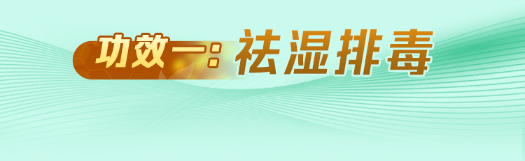 刘仲华院士点赞梧州六堡茶 八大成果助享健壮生涯高德娱乐(图2)