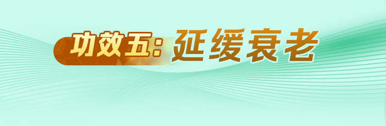 刘仲华院士点赞梧州六堡茶 八大成果助享健壮生涯高德娱乐(图10)