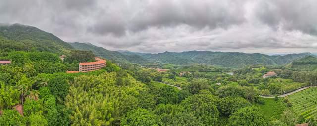 茗茶远离都邑高德娱乐的喧闹正在青山绿水间纵情减弱身心享福自然(图9)