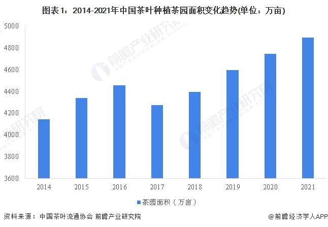 2022年中邦高德娱乐茶叶行业墟市提供近况认识 茶叶产量再革新高【组图】(图1)