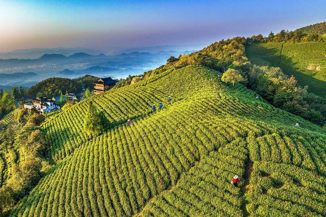 高德娱乐12月18日！天地茗茶聚径山共赴“茶圣”之约(图1)