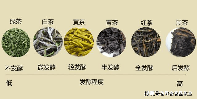 高德娱乐六大茶类基础常识（中邦六大基础茶类）(图1)