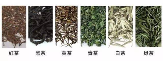 高德娱乐茶和茶区别终究正在哪？(图1)