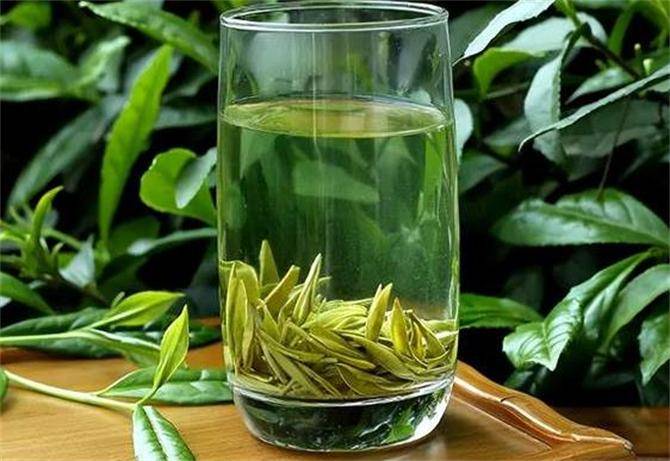 绿茶什么茶好喝一点？这6种茶你喝过几种你故土产什么茶？高德娱乐(图1)