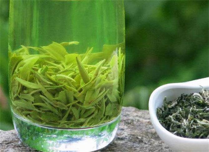 绿茶什么茶好喝一点？这6种茶你喝过几种你故土产什么茶？高德娱乐(图6)