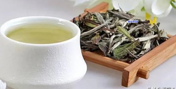 精选茗茶是什么种类-高德娱乐精选茗茶是什么种类的茶叶(图8)