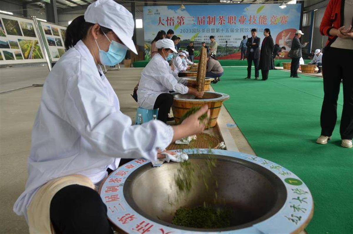 又是一年茶飘香湖北大悟30万亩春茶入手下手采摘高德娱乐(图1)