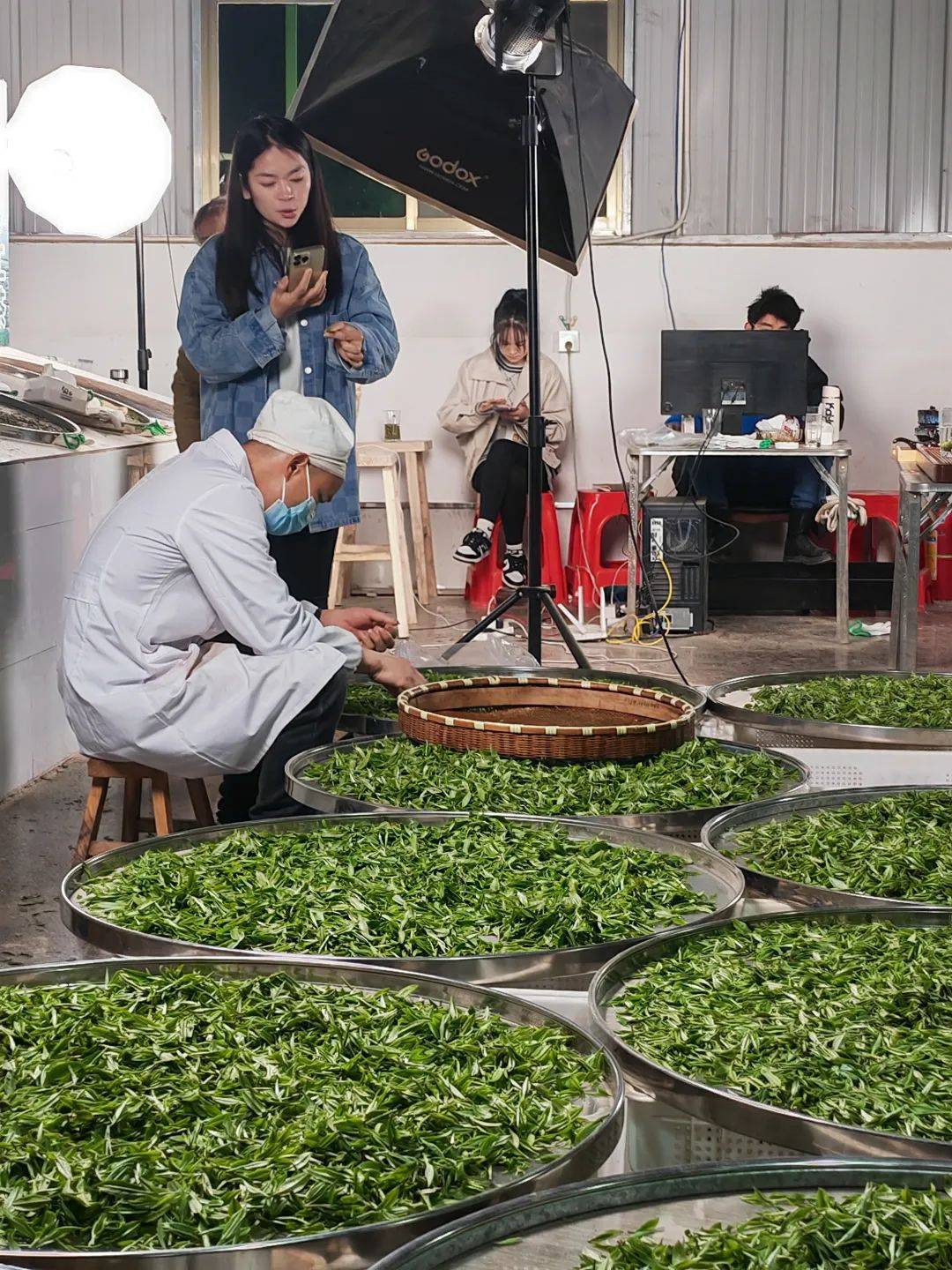 高德娱乐茶香满城引客来！南明区春茶上市生意火(图4)